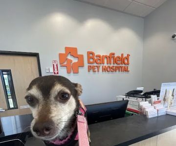 Banfield Pet Hospital
