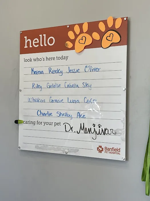 Banfield Pet Hospital 12