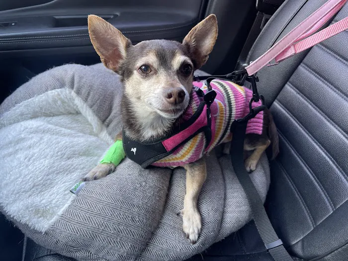 Banfield Pet Hospital 12
