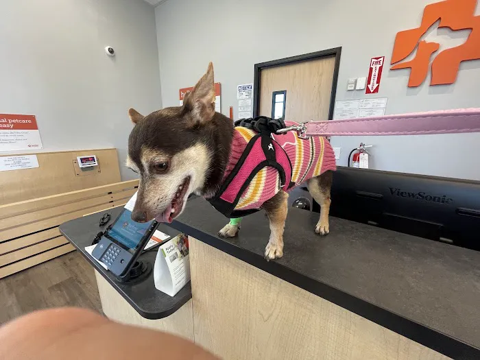 Banfield Pet Hospital 12