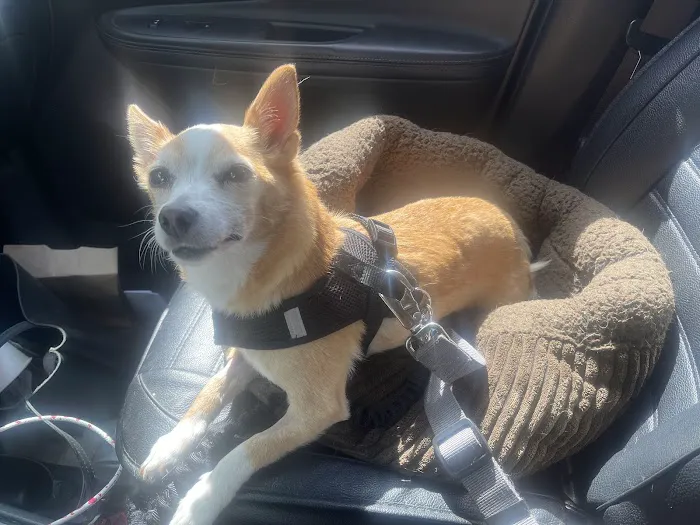Banfield Pet Hospital 12