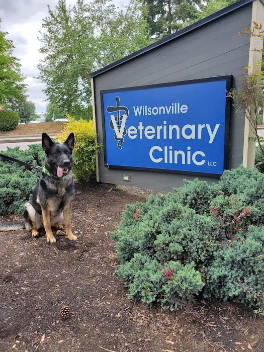 Wilsonville Veterinary Clinic 12