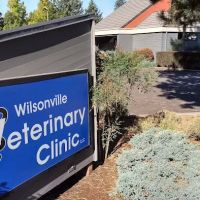Wilsonville Veterinary Clinic ico