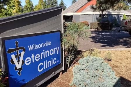 Wilsonville Veterinary Clinic