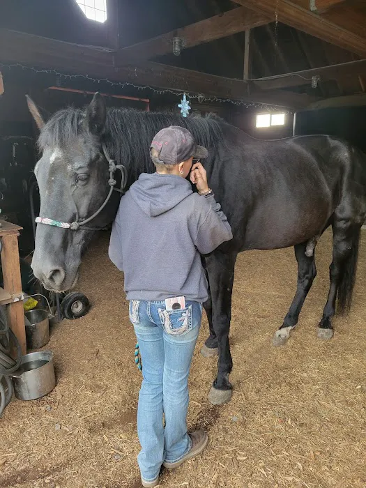 Silverton Equine Veterinary 2