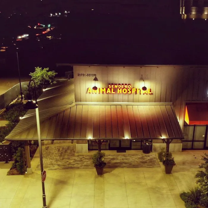 Sendero Animal Hospital 12