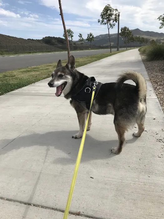 Sendero Animal Hospital 12