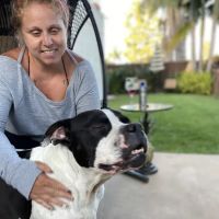 Sendero Animal Hospital ico