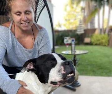 Sendero Animal Hospital