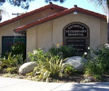 Estrella Veterinary Hospital, A Thrive Pet Healthcare Partner