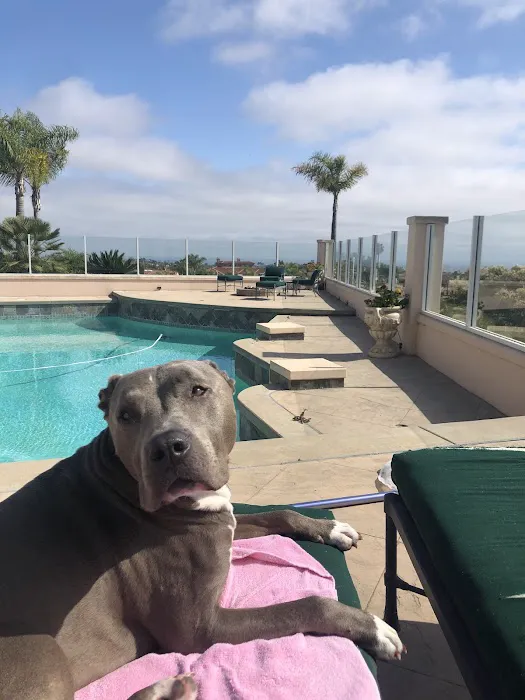 Estrella Veterinary Hospital, A Thrive Pet Healthcare Partner 8