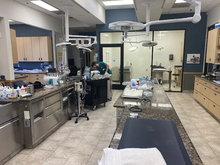 VCA Santa Margarita Animal Hospital 12