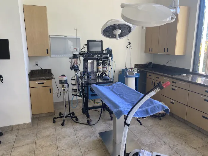 VCA Santa Margarita Animal Hospital 12