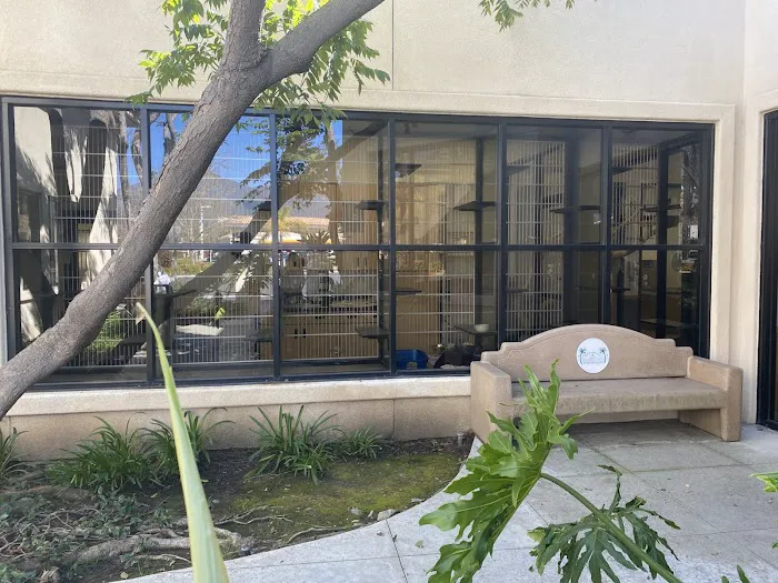 VCA Santa Margarita Animal Hospital 12
