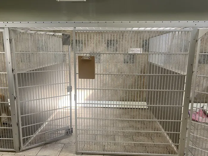 VCA Santa Margarita Animal Hospital 12