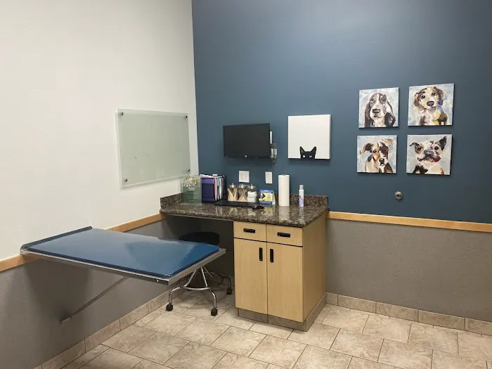 VCA Santa Margarita Animal Hospital 12