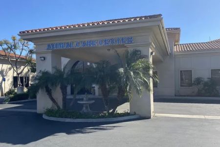 VCA Santa Margarita Animal Hospital