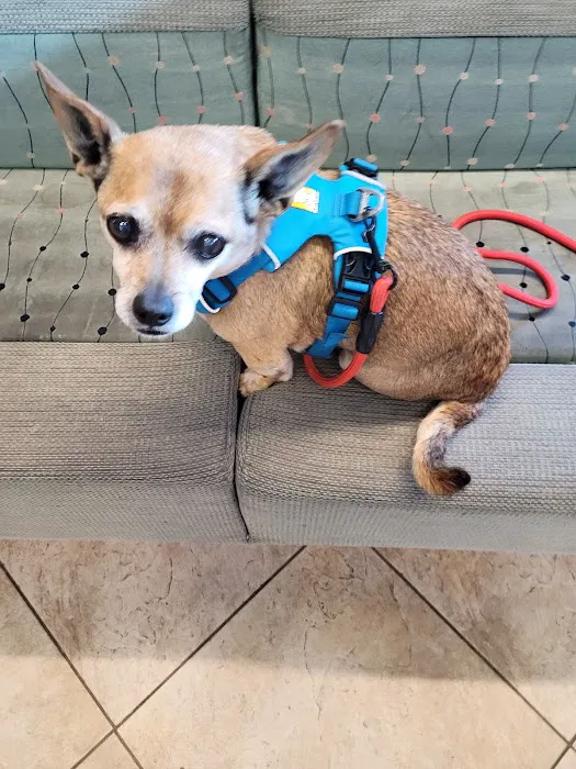 Point Vicente Animal Hospital 9