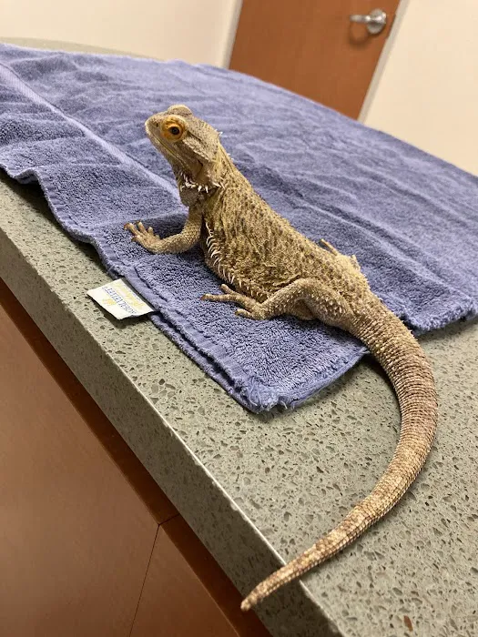 Point Vicente Animal Hospital 4