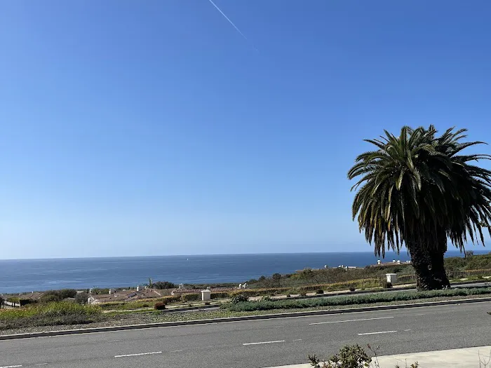 Point Vicente Animal Hospital 7
