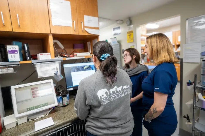 Santa Monica Pet Medical Center 12