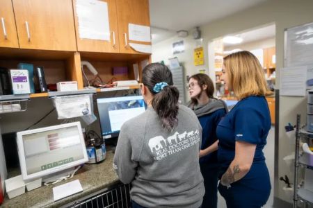 Santa Monica Pet Medical Center