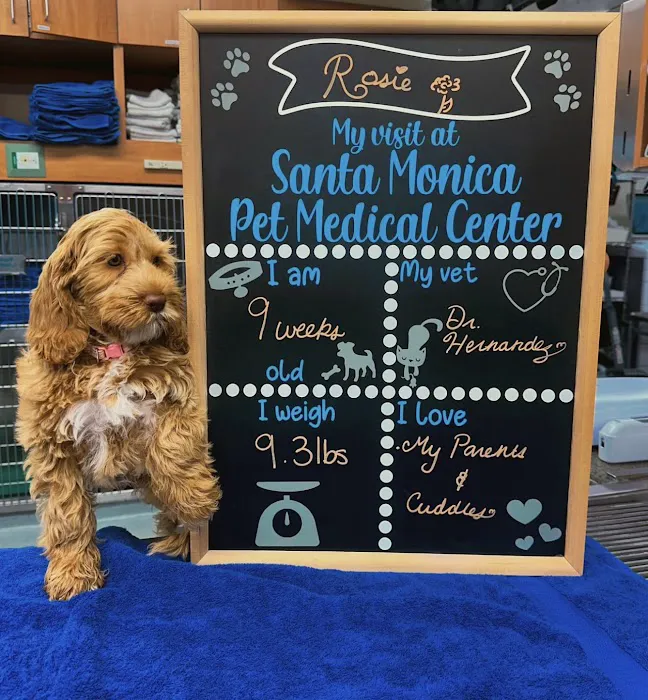 Santa Monica Pet Medical Center 12