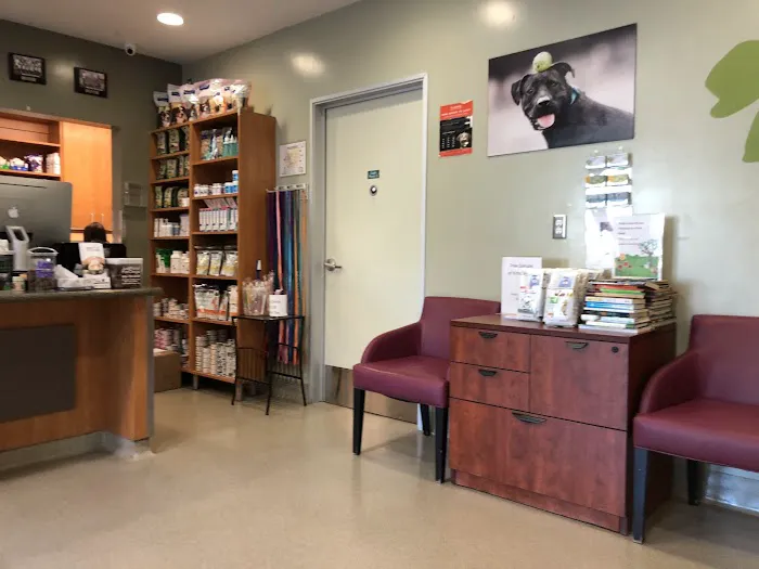 Santa Monica Pet Medical Center 12