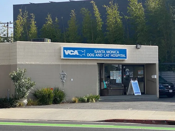 VCA Santa Monica Dog and Cat Hospital 6