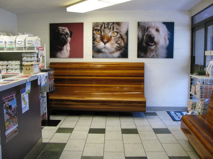 VCA Santa Monica Dog and Cat Hospital 10