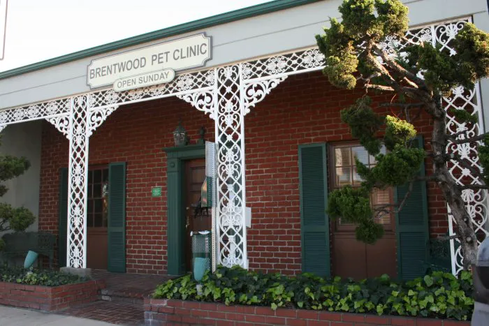 VCA Brentwood Animal Hospital 2