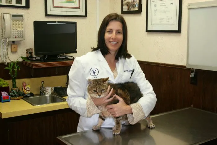 VCA Brentwood Animal Hospital 6