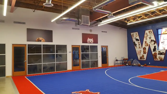 VCA Inc. 10