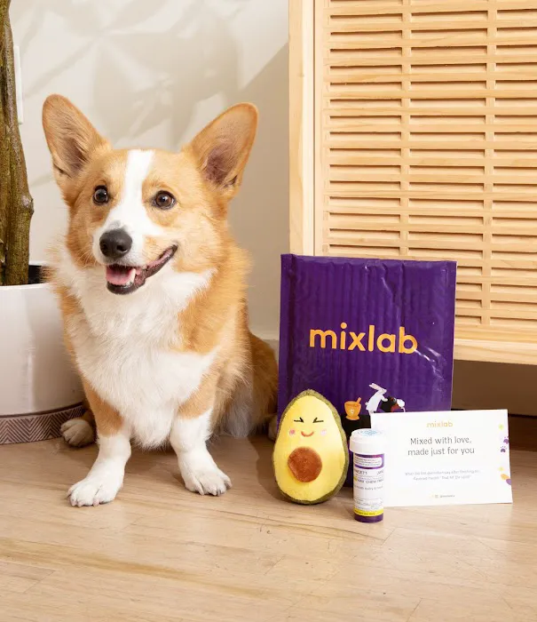 Mixlab 8