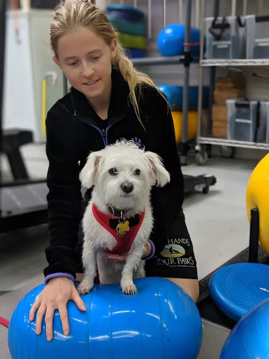 Two Hands Four Paws 3