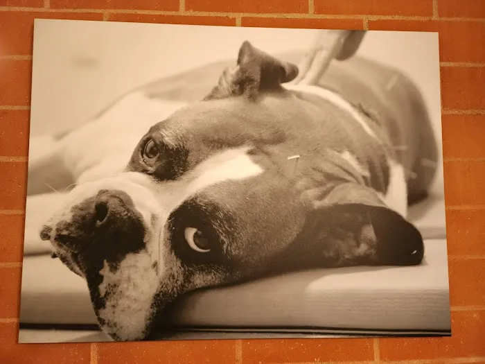 California Animal Rehabilitation 4
