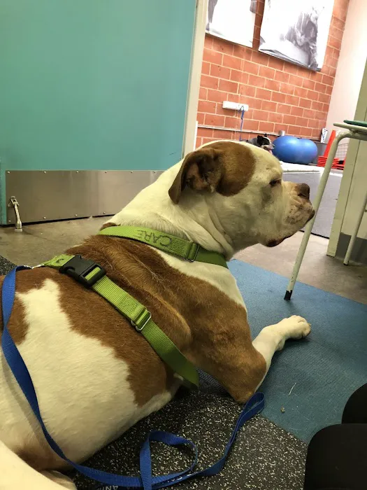 California Animal Rehabilitation 6