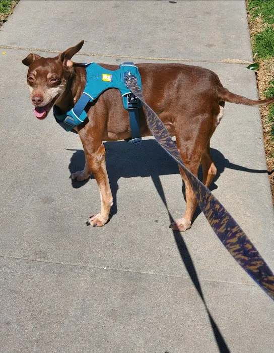 California Animal Rehabilitation 3