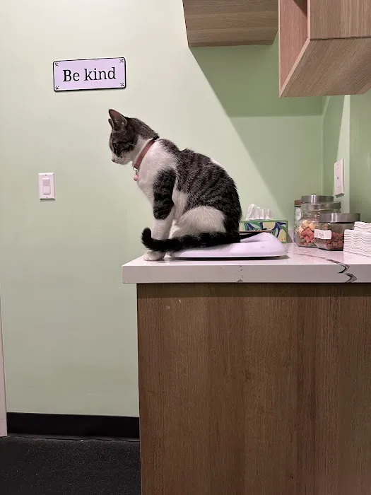 Emerald Animal Hospital 6
