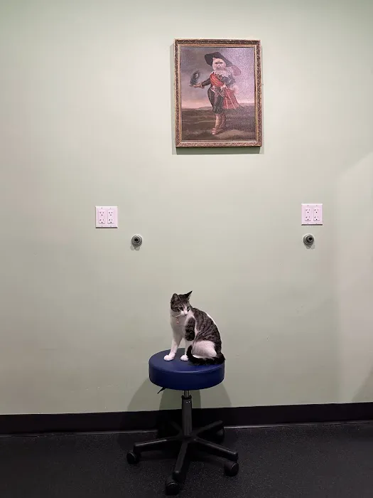 Emerald Animal Hospital 8