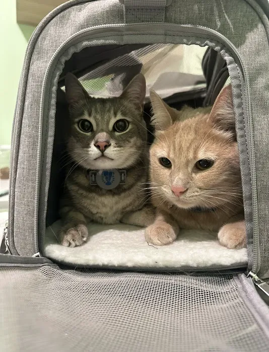 Emerald Animal Hospital 9