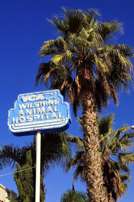 VCA Wilshire Animal Hospital 6