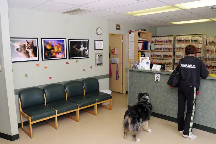 VCA Wilshire Animal Hospital 3
