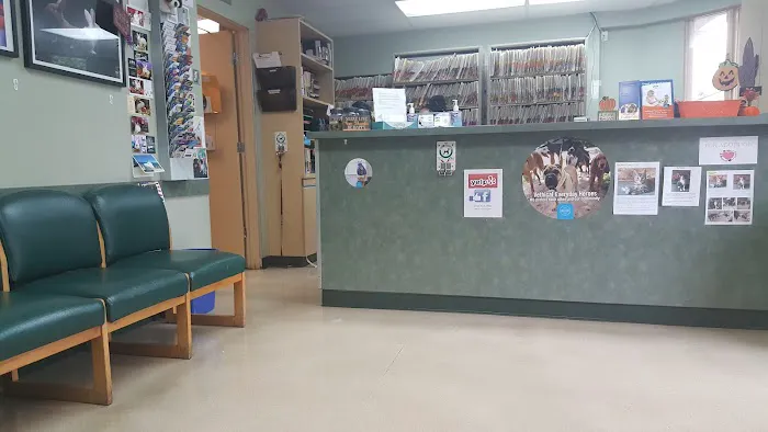 VCA Wilshire Animal Hospital 7
