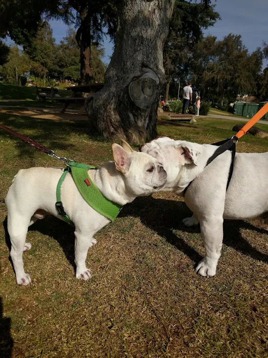 VCA Wilshire Animal Hospital 8