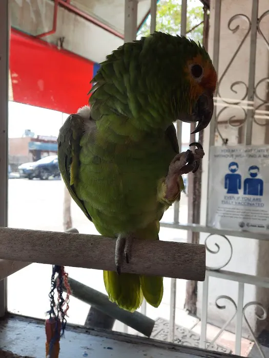 VCA Wilshire Animal Hospital 4