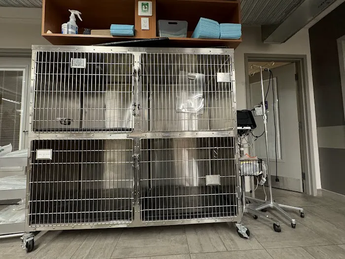 Veterinary Emergency Group 9