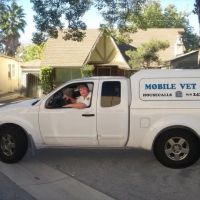Mobile Vet ico
