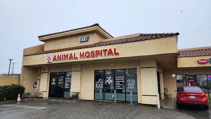 Los Olivos Animal Hospital Upland, Urgent care & Daily routine 12