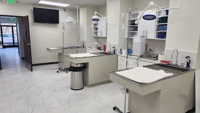 Los Olivos Animal Hospital Upland, Urgent care & Daily routine 12